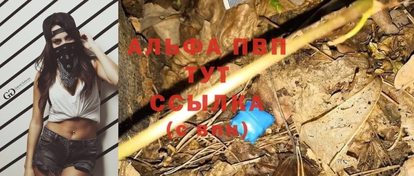 гидра Лихославль