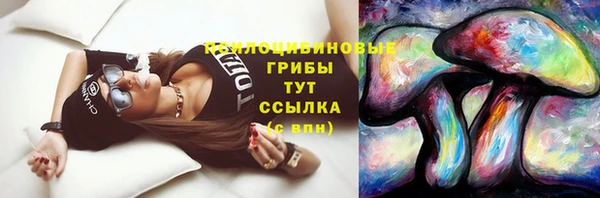 гидра Лихославль