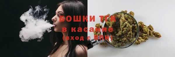 гидра Лихославль