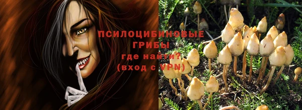 spice Липки