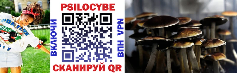 Галлюциногенные грибы MAGIC MUSHROOMS  дарнет шоп  Хвалынск 